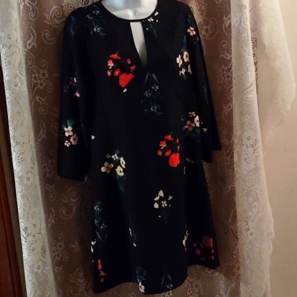 New Vince Camuto Size 6 Pink Blue Yellow Floral 3/4 Sleeve Empire Waist Dress